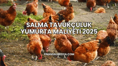 Salma Tavukçuluk Yumurta Maliyeti 2025