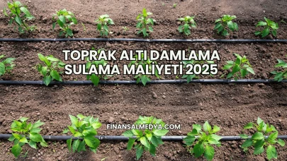 Toprak Altı Damlama Sulama Maliyeti 2025