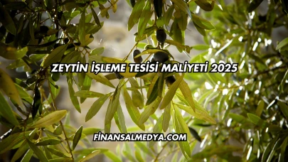 Zeytin İşleme Tesisi Maliyeti 2025
