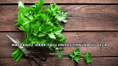 Maydanoz İdrar Yolu Enfeksiyonuna İyi Gelir mi?