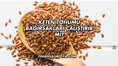 Keten Tohumu Bağırsakları Çalıştırır mı?