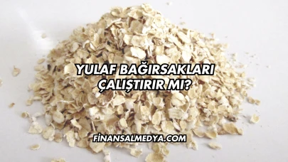 Yulaf Bağırsakları Çalıştırır mı?