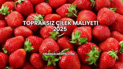 Topraksız Çilek Maliyeti 2025