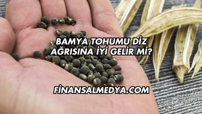 Bamya Tohumu Diz Ağrısına İyi Gelir mi?