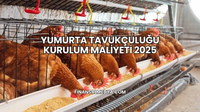 Yumurta Tavukçuluğu Kurulum Maliyeti 2025