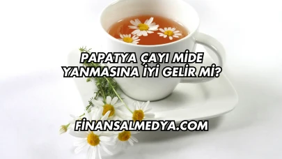 Papatya Çayı Mide Yanmasına İyi Gelir mi?