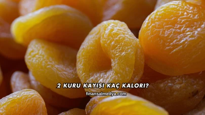 2 Kuru Kayısı Kaç Kalori?
