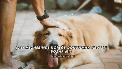 Şafi Mezhebinde Köpeğe Dokunmak Abdesti Bozar mı?