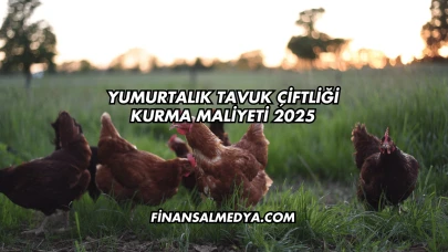 Yumurtalık Tavuk Çiftliği Kurma Maliyeti 2025