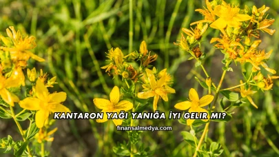 Kantaron Yağı Yanığa İyi Gelir mi?