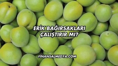 Erik Bağırsakları Çalıştırır mı?
