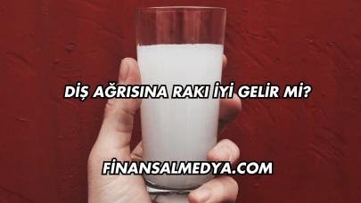 Diş Ağrısına Rakı İyi Gelir mi?