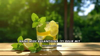 Nane Mide Bulantısına İyi Gelir mi?