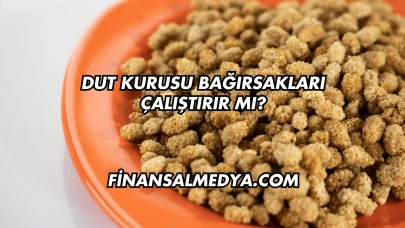 Dut Kurusu Bağırsakları Çalıştırır mı?
