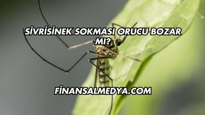 Sivrisinek Sokması Orucu Bozar mı?