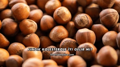 Fındık Kolesterole İyi Gelir mi?