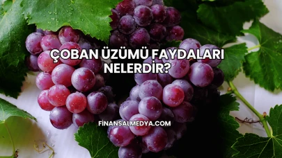 Çoban Üzümü Faydaları Nelerdir?