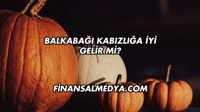 Balkabağı Kabızlığa İyi Gelir mi?