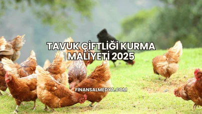 Tavuk Çiftliği Kurma Maliyeti 2025