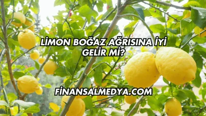 Limon Boğaz Ağrısına İyi Gelir mi?