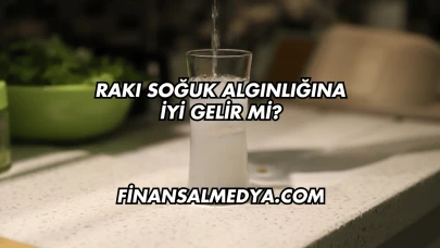 Rakı Soğuk Algınlığına İyi Gelir mi?