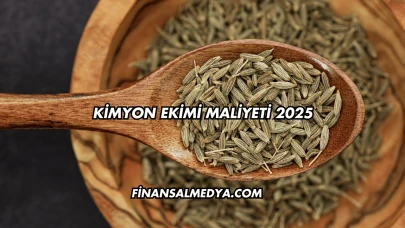 Kimyon Ekimi Maliyeti 2025