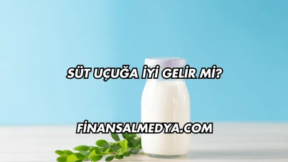 Süt Uçuğa İyi Gelir mi?