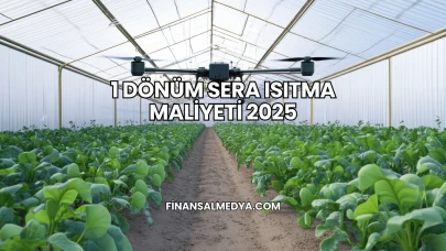 1 Dönüm Sera Isıtma Maliyeti 2025
