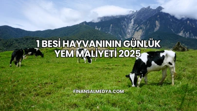 1 Besi Hayvanının Günlük Yem Maliyeti 2025