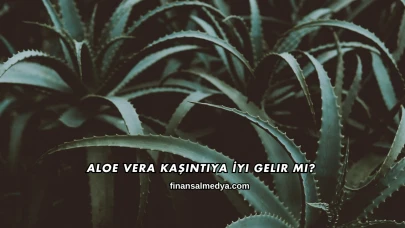 Aloe Vera Kaşıntıya İyi Gelir mi?