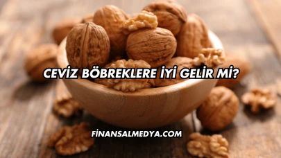 Ceviz Böbreklere İyi Gelir mi?