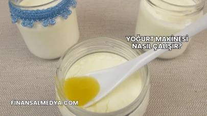 Yoğurt Makinesi Nasıl Çalışır?