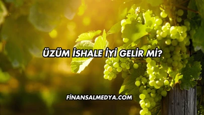 Üzüm İshale İyi Gelir mi?