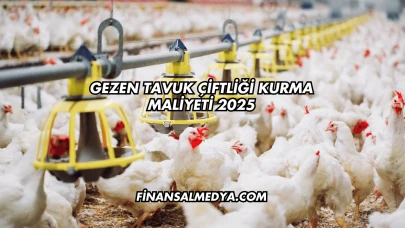 Gezen Tavuk Çiftliği Kurma Maliyeti 2025