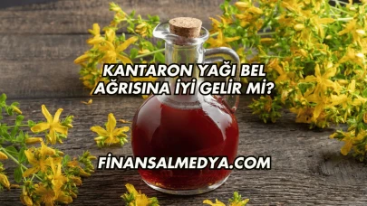 Kantaron Yağı Bel Ağrısına İyi Gelir mi?