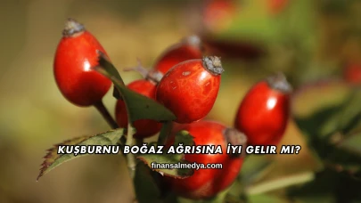 Kuşburnu Boğaz Ağrısına İyi Gelir mi?
