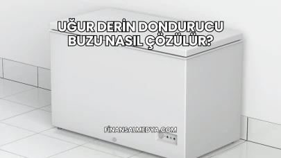Uğur Derin Dondurucu Buzu Nasıl Çözülür?