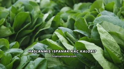 Haşlanmış Ispanak Kaç Kalori?