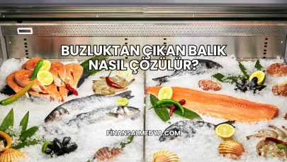 Buzluktan Çıkan Balık Nasıl Çözülür?