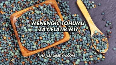 Menengiç Tohumu Zayıflatır mı?