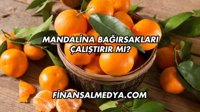 Mandalina Bağırsakları Çalıştırır mı?