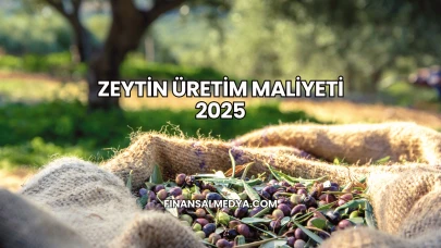 Zeytin Üretim Maliyeti 2025