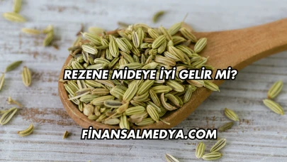 Rezene Mideye İyi Gelir mi?