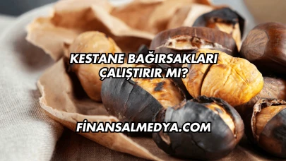 Kestane Bağırsakları Çalıştırır mı?