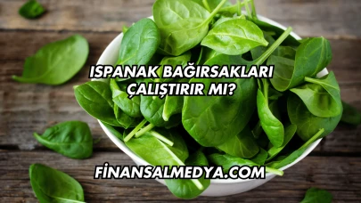 Ispanak Bağırsakları Çalıştırır mı?
