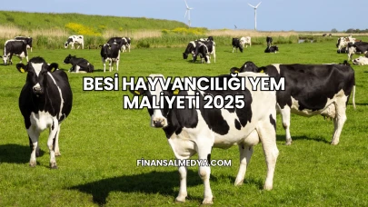 Besi Hayvancılığı Yem Maliyeti 2025