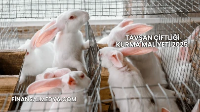 Tavşan Çiftliği Kurma Maliyeti 2025
