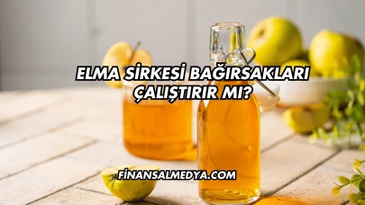Elma Sirkesi Bağırsakları Çalıştırır mı?