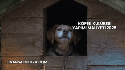 Köpek Kulübesi Yapımı Maliyeti 2025