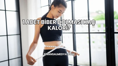 1 Adet Biber Dolması Kaç Kalori?